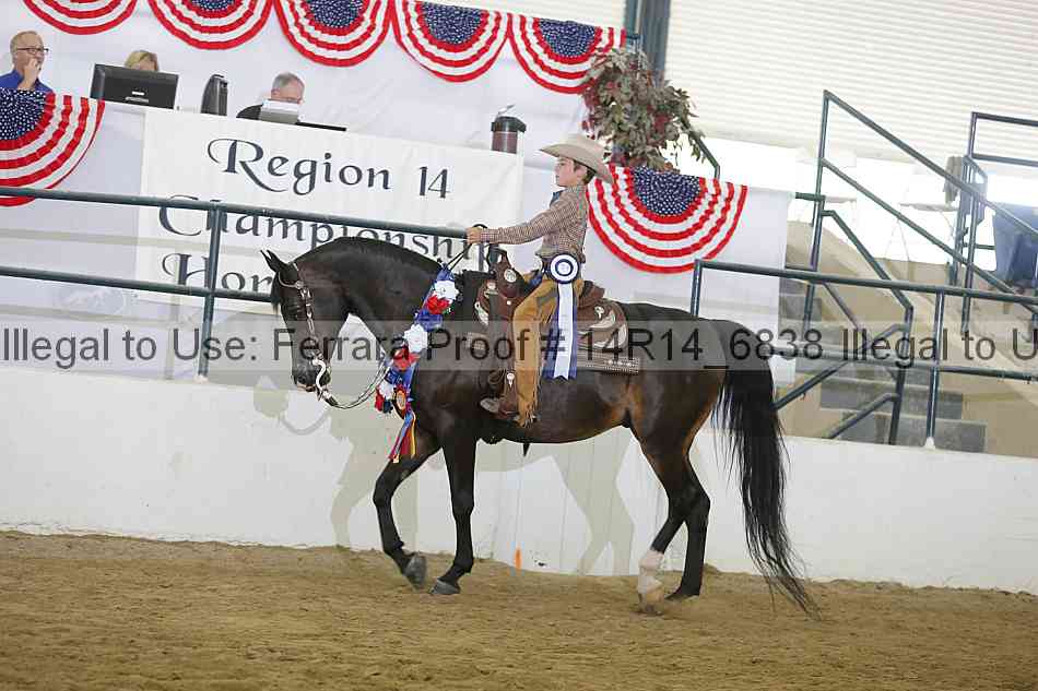 Proof Number 14r14_6838