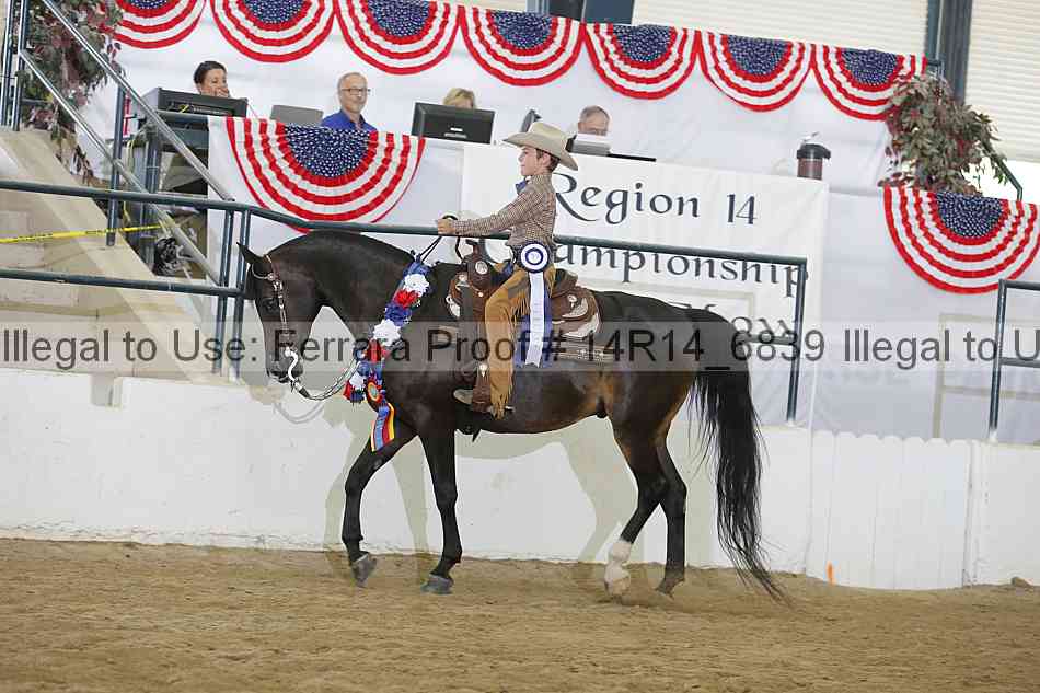 Proof Number 14r14_6839