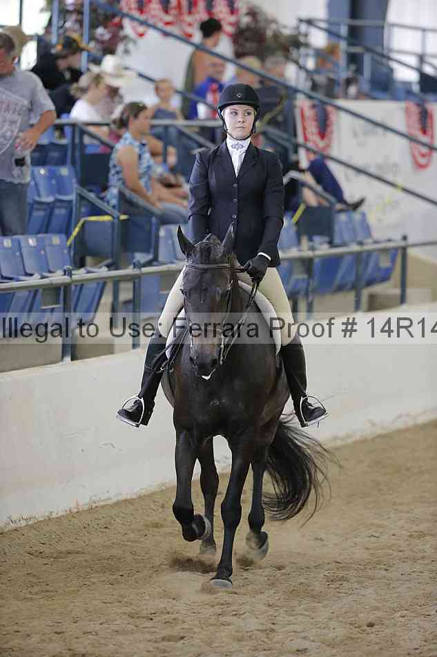 Proof Number 14r14_6869