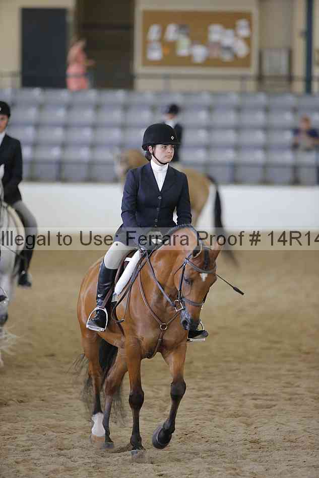 Proof Number 14r14_6873