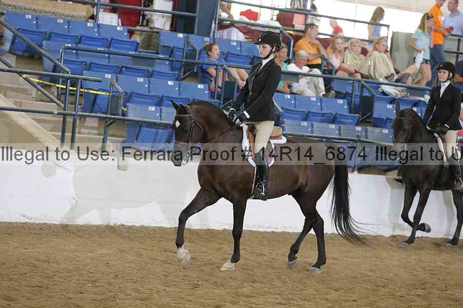 Proof Number 14r14_6874