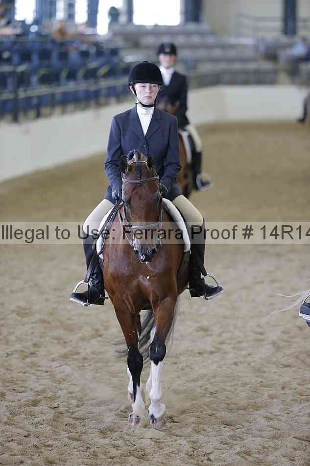 Proof Number 14r14_6878