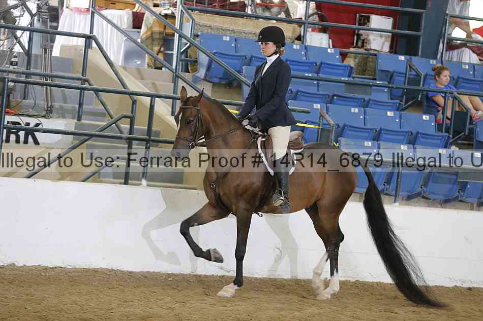 Proof Number 14r14_6879