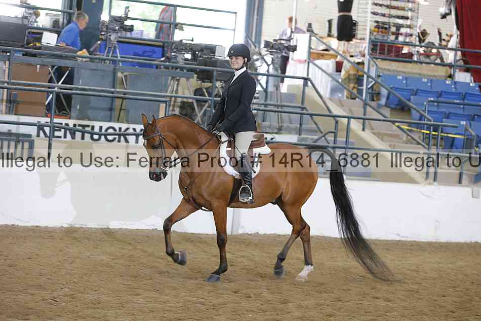 Proof Number 14r14_6881
