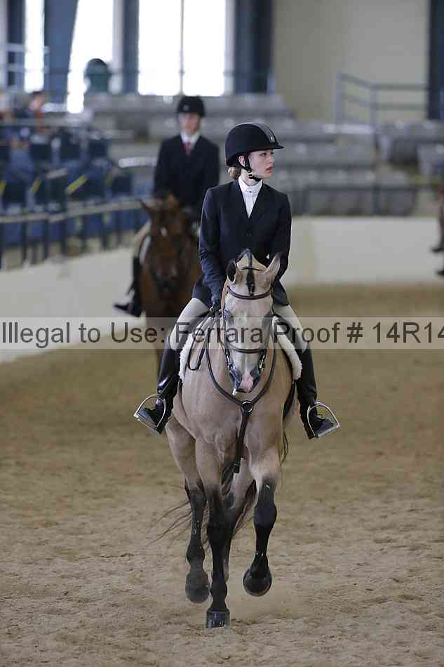 Proof Number 14r14_6882