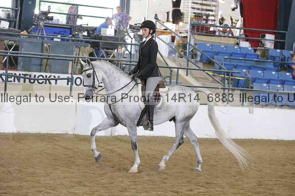 Proof Number 14r14_6883