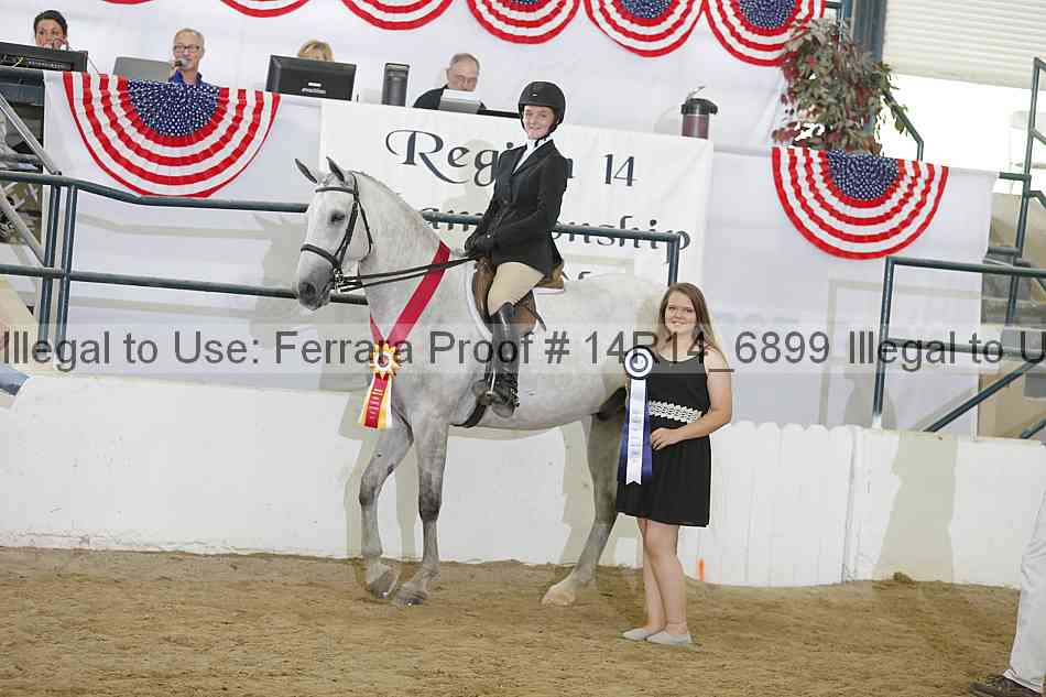Proof Number 14r14_6899