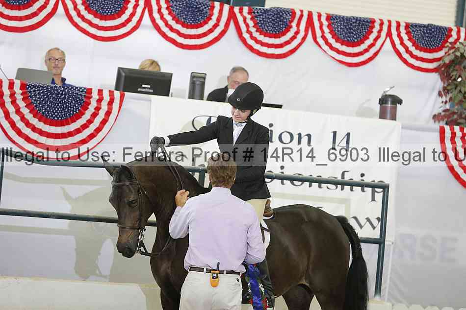 Proof Number 14r14_6903