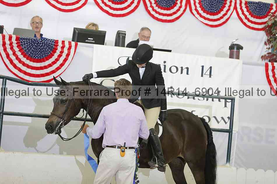 Proof Number 14r14_6904