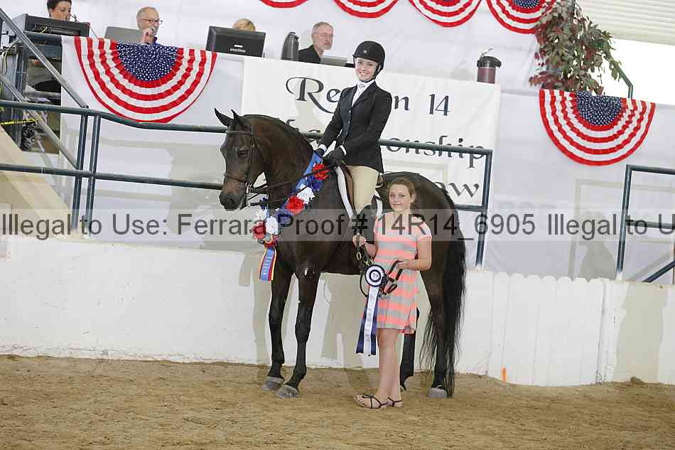 Proof Number 14r14_6905