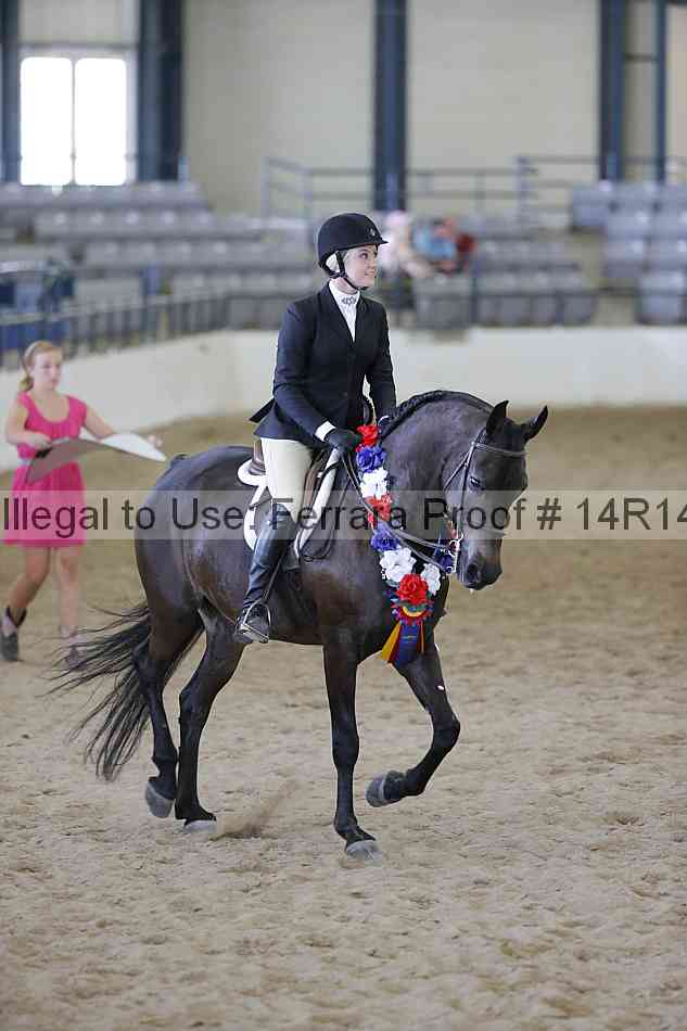 Proof Number 14r14_6907