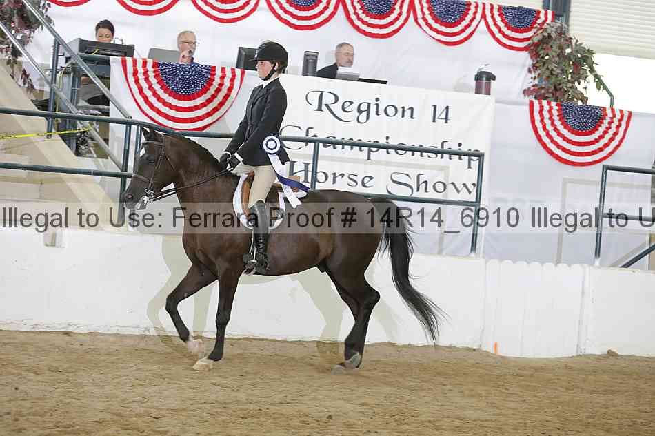 Proof Number 14r14_6910