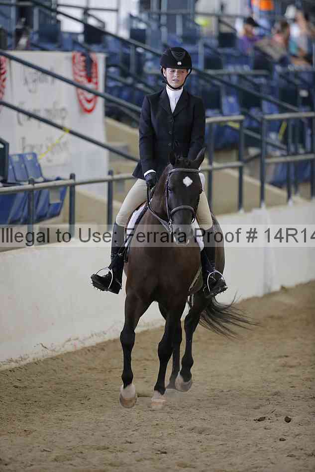 Proof Number 14r14_6913