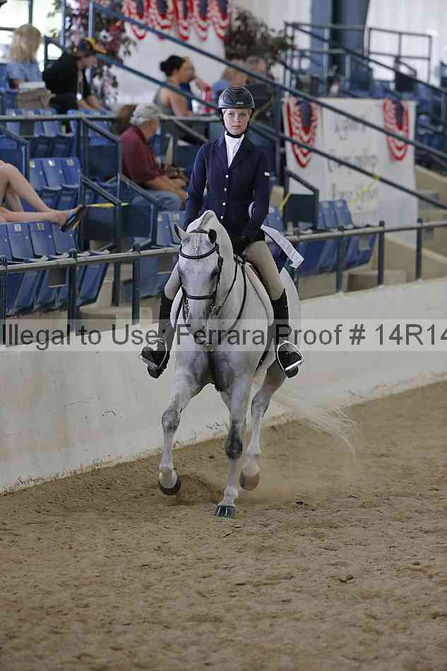 Proof Number 14r14_6917