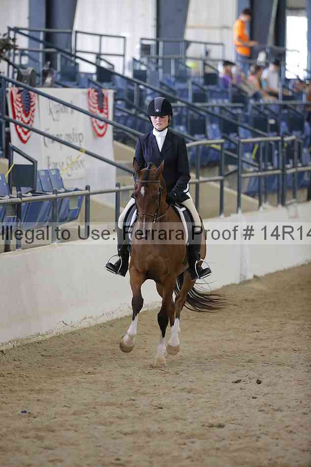 Proof Number 14r14_6919