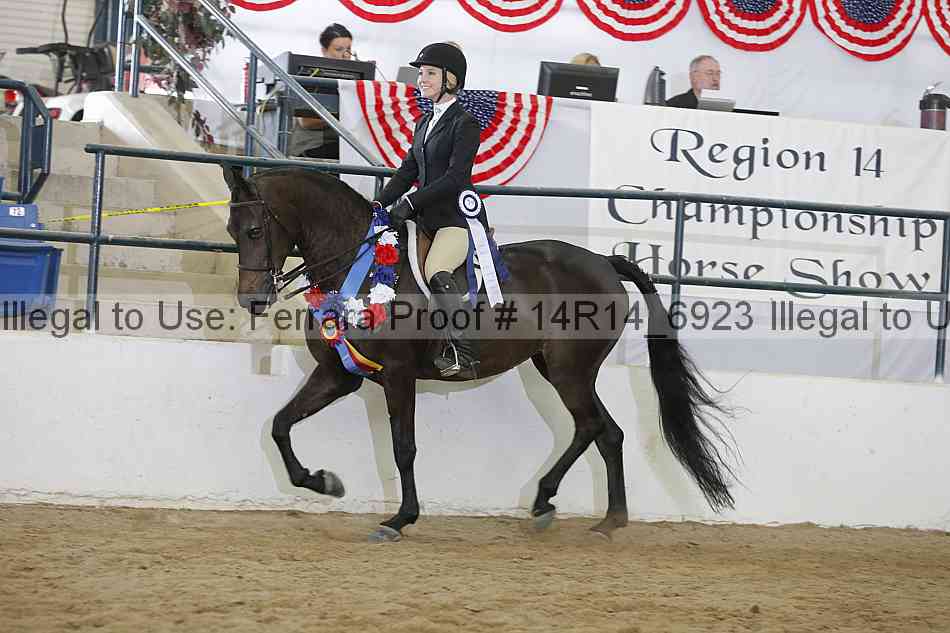 Proof Number 14r14_6923