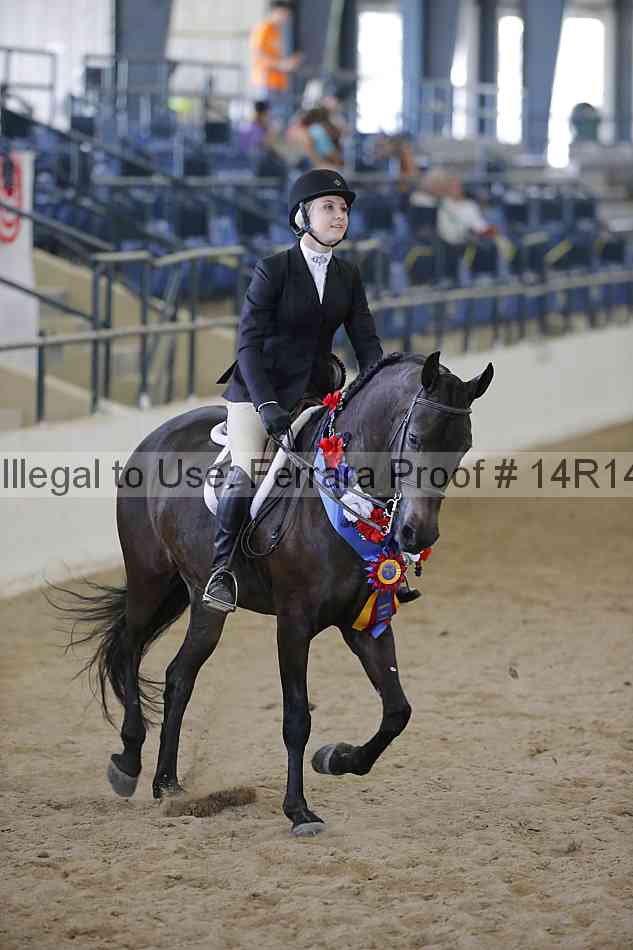 Proof Number 14r14_6926