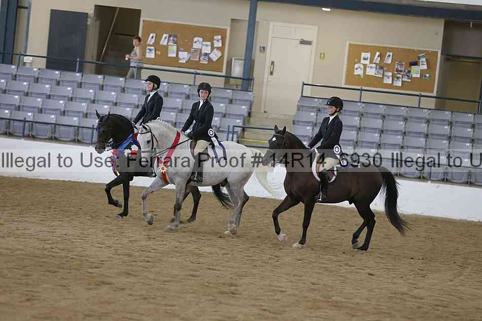 Proof Number 14r14_6930