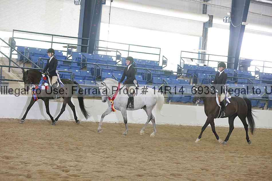 Proof Number 14r14_6933