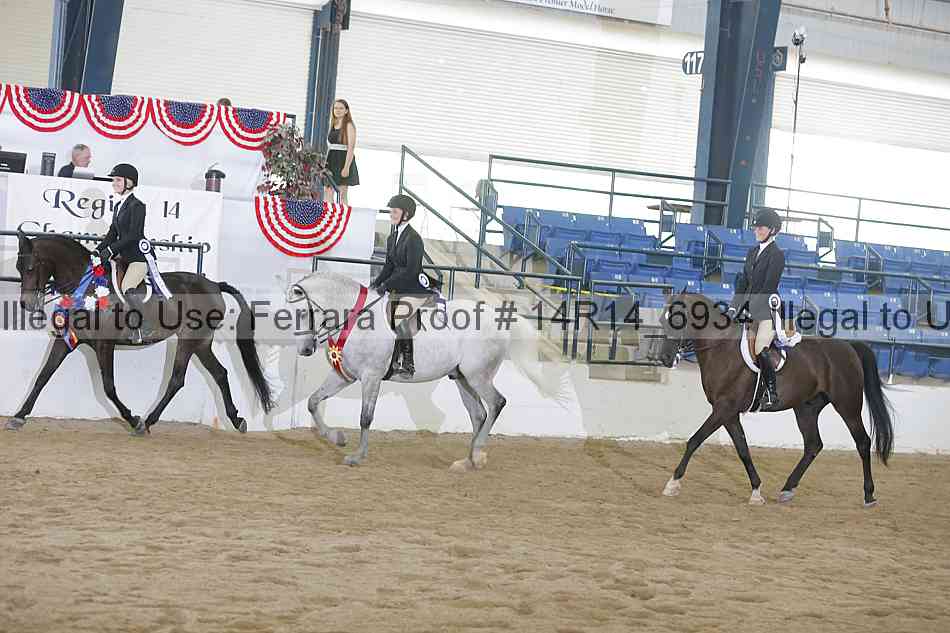 Proof Number 14r14_6934