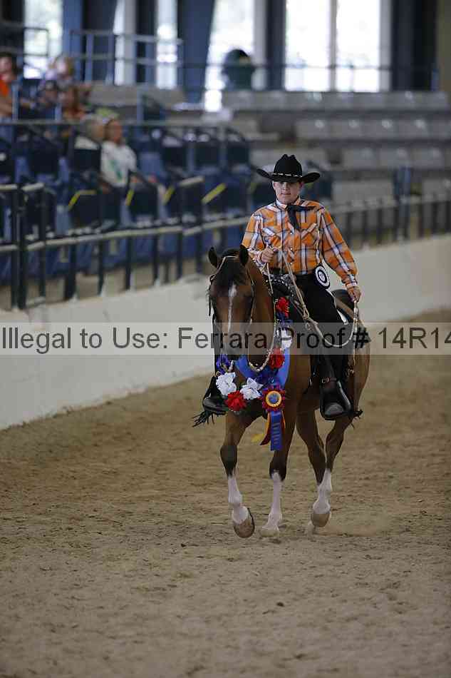 Proof Number 14r14_6954