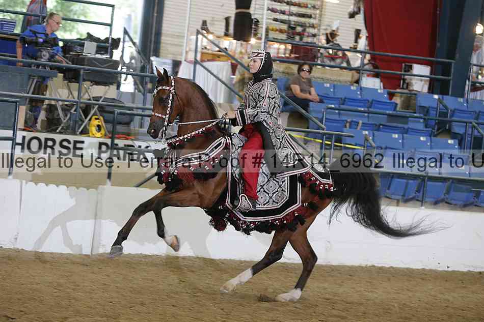 Proof Number 14r14_6962