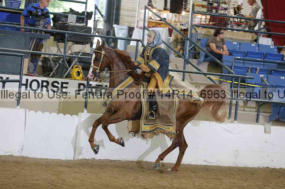 Proof Number 14r14_6963