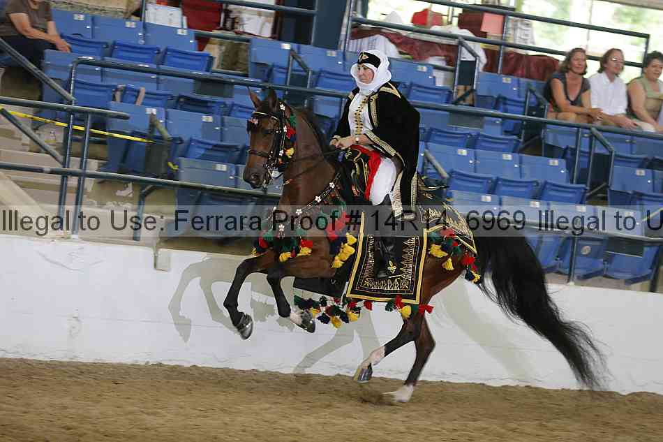 Proof Number 14r14_6969