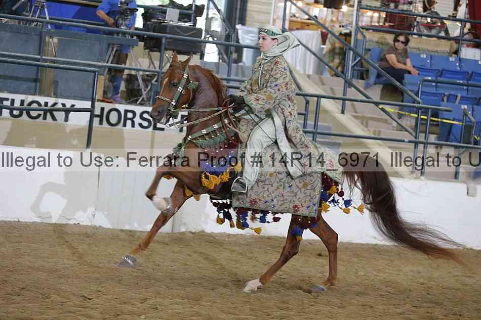 Proof Number 14r14_6971