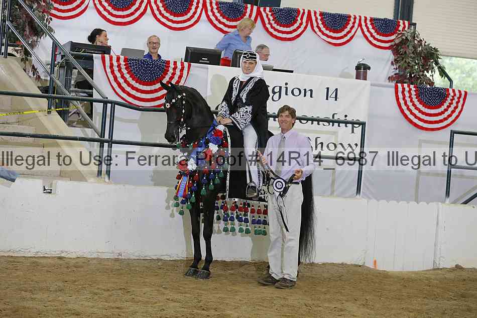 Proof Number 14r14_6987