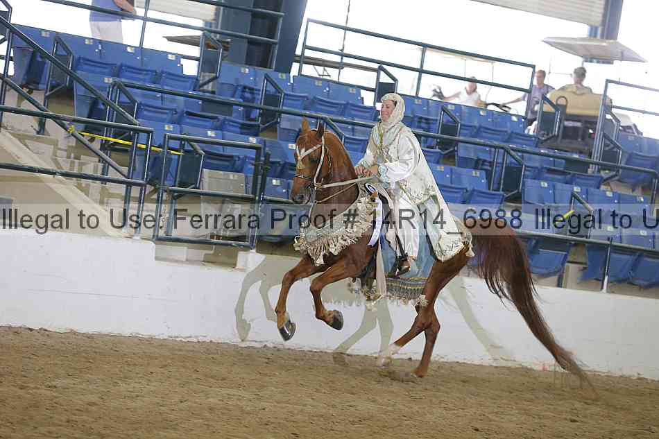 Proof Number 14r14_6988