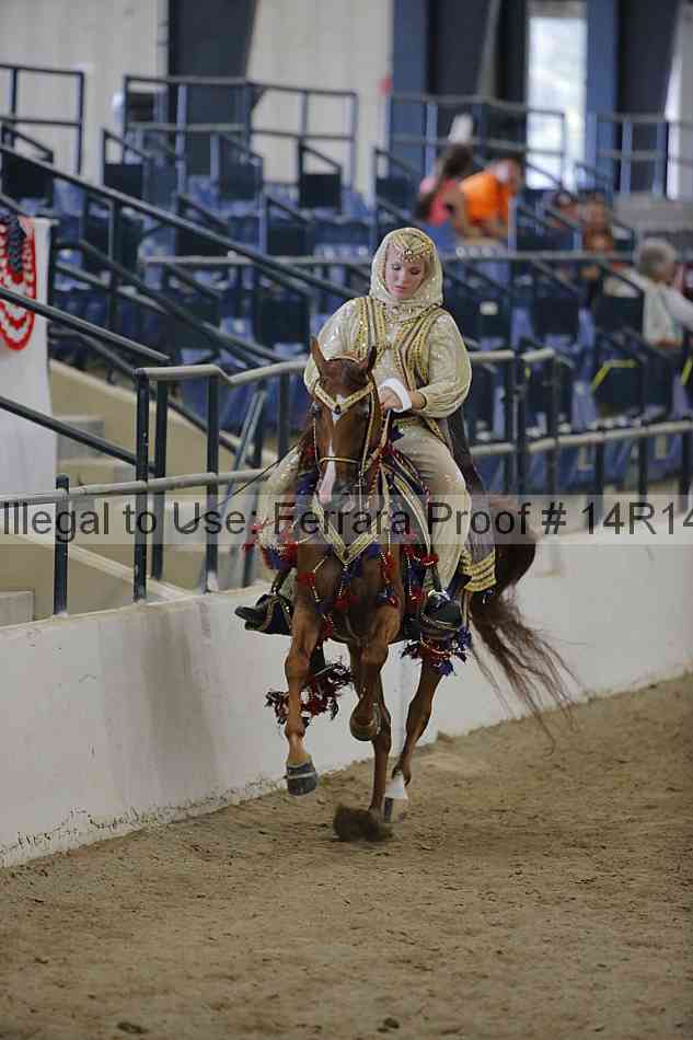 Proof Number 14r14_6993