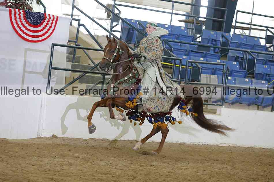Proof Number 14r14_6994