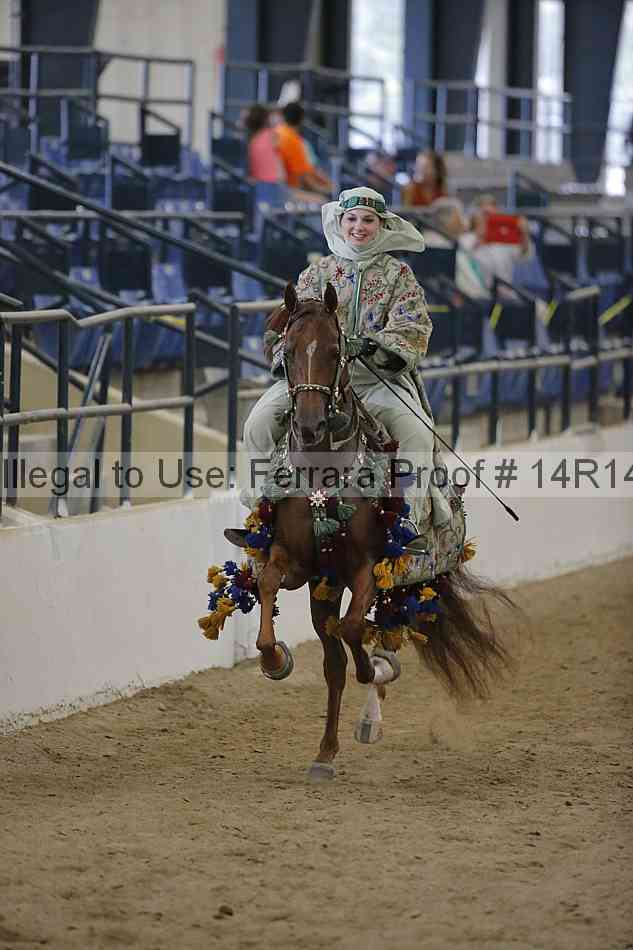 Proof Number 14r14_6996