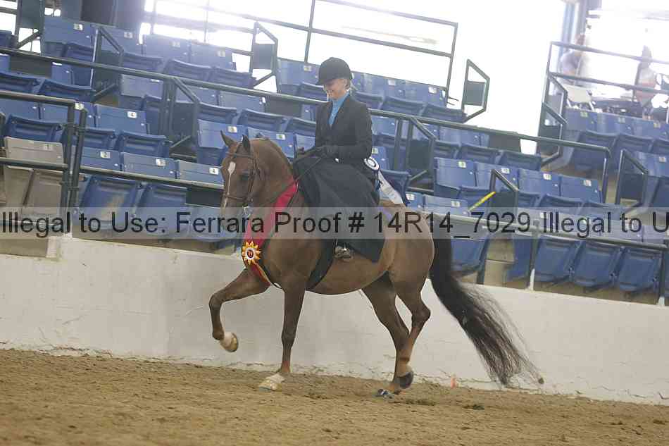 Proof Number 14r14_7029