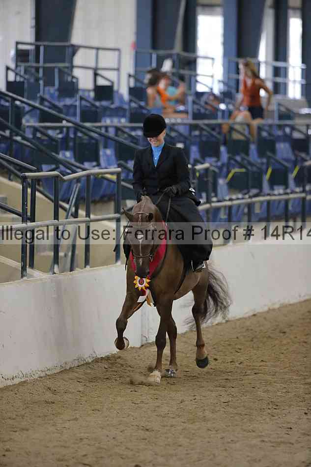 Proof Number 14r14_7032