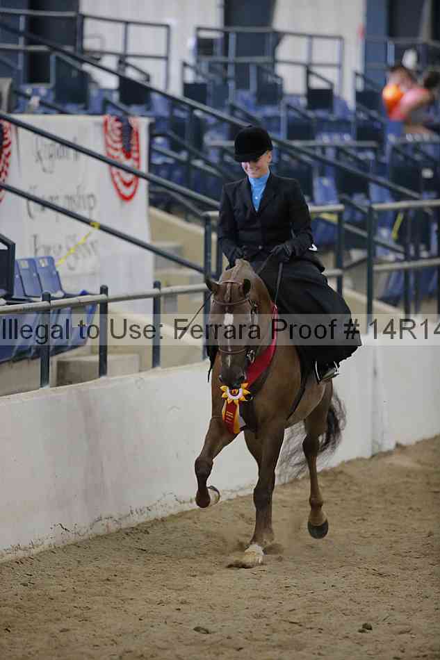 Proof Number 14r14_7033
