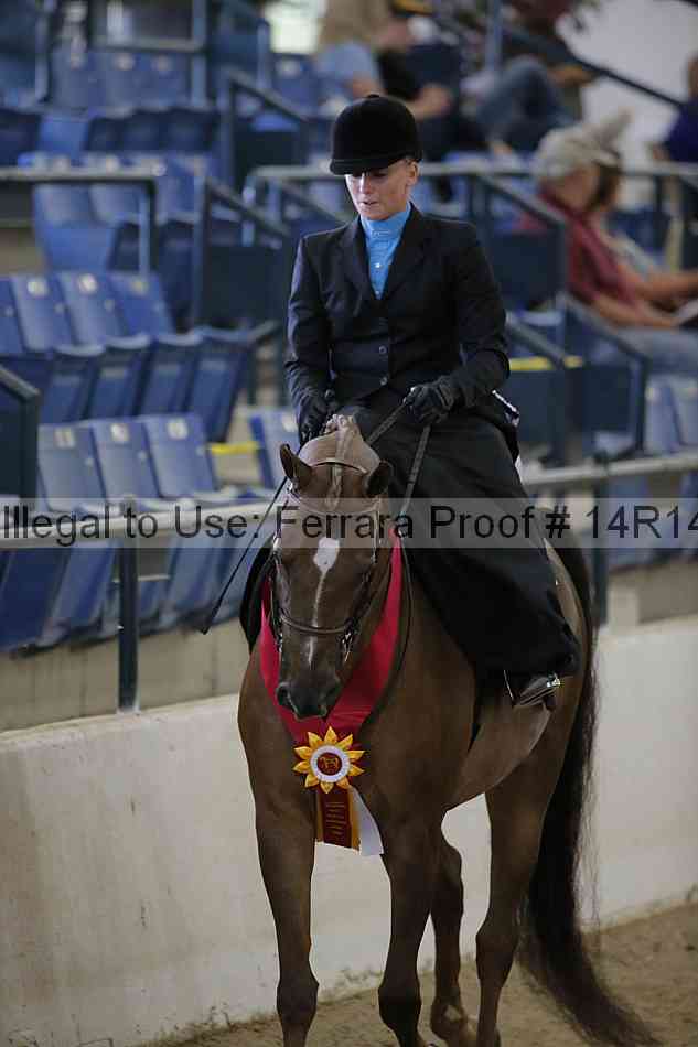 Proof Number 14r14_7034