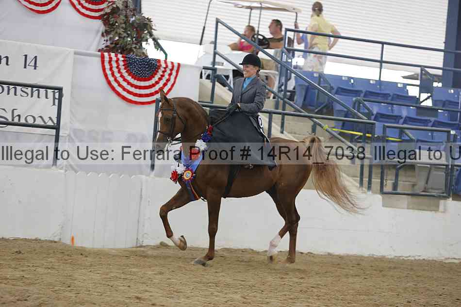 Proof Number 14r14_7038