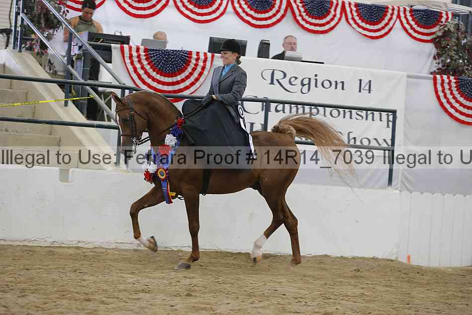 Proof Number 14r14_7039