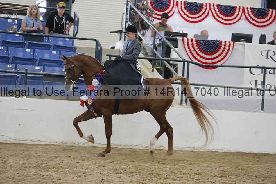 Proof Number 14r14_7040