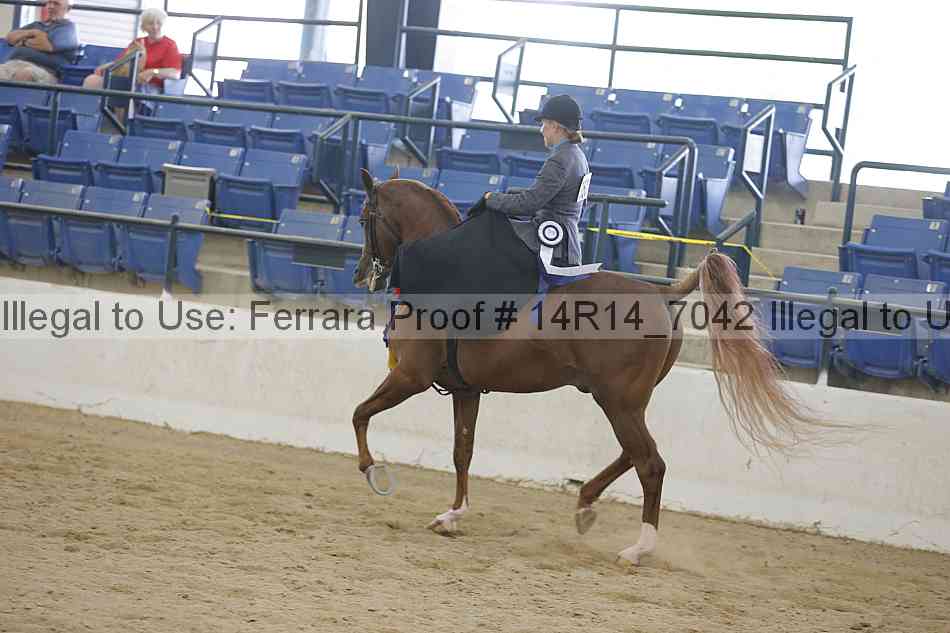 Proof Number 14r14_7042
