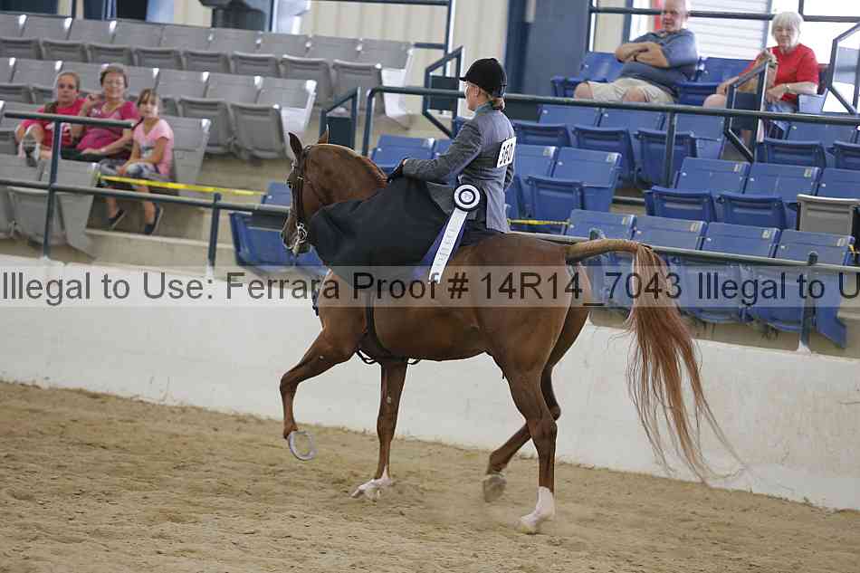 Proof Number 14r14_7043