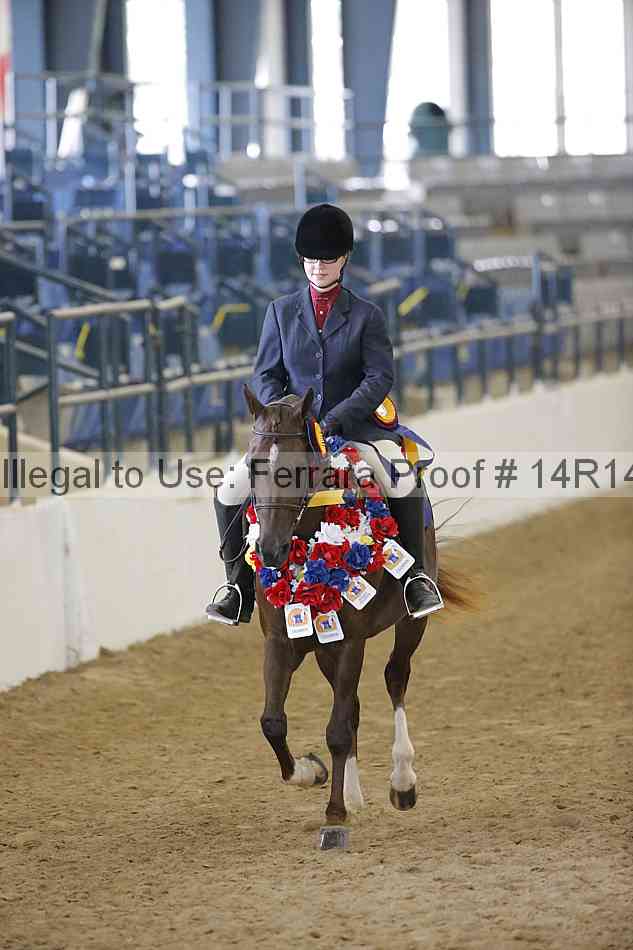 Proof Number 14r14_4900