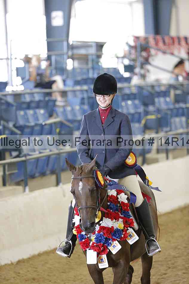 Proof Number 14r14_4905