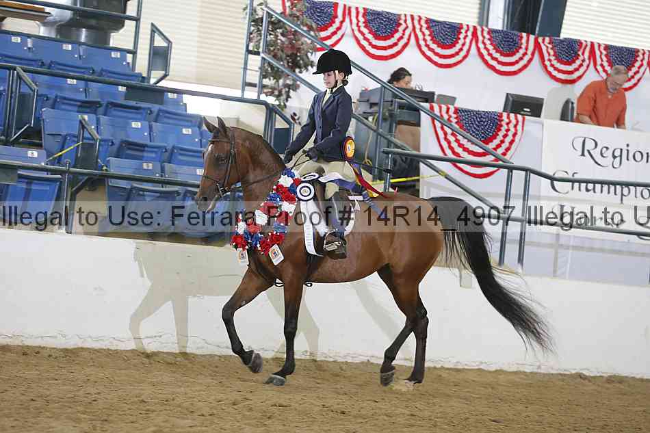 Proof Number 14r14_4907