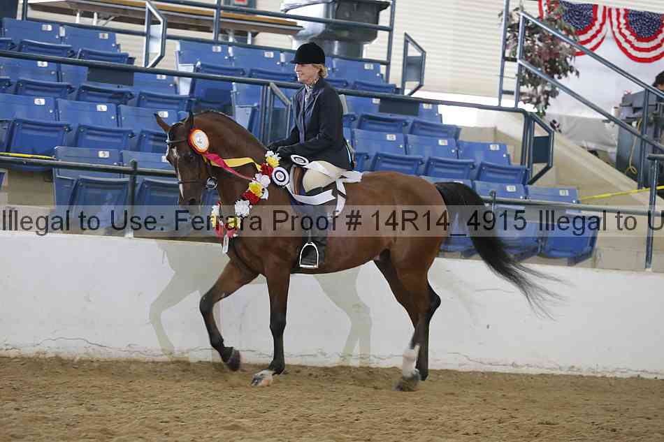 Proof Number 14r14_4915