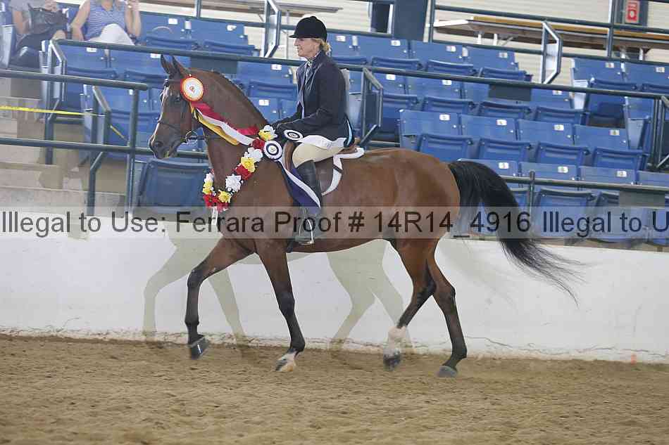 Proof Number 14r14_4916