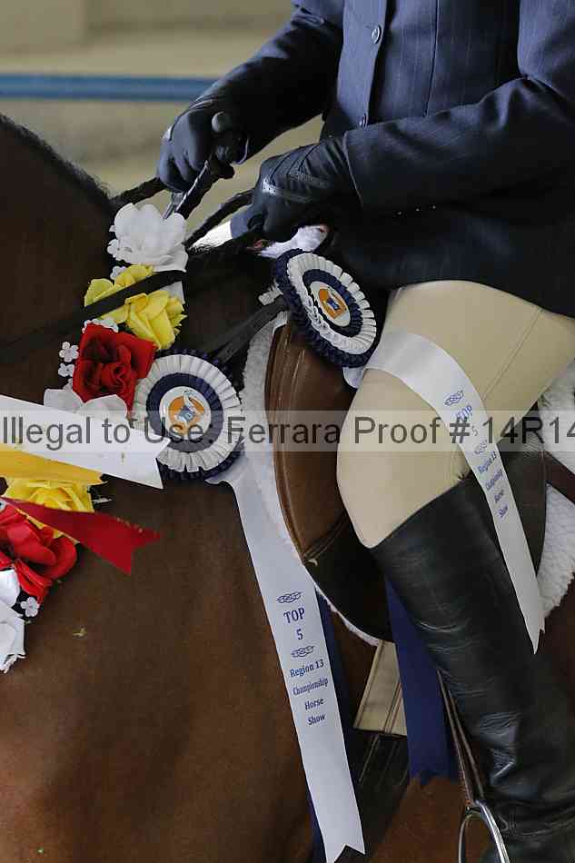 Proof Number 14r14_4926