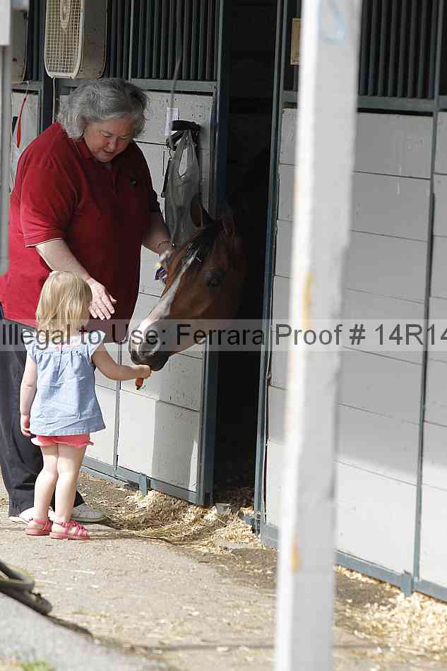 Proof Number 14r14_5893
